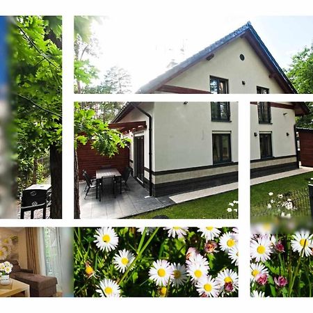 Daisy - Sunny Flowers Apartments Łukęcin Bagian luar foto