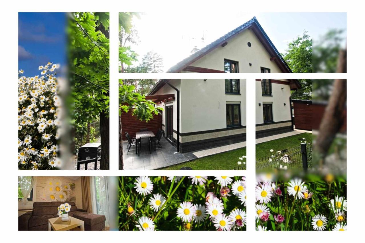 Daisy - Sunny Flowers Apartments Łukęcin Bagian luar foto